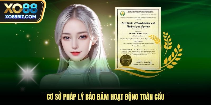 Cơ sở pháp lý bảo đảm hoạt động toàn cầu