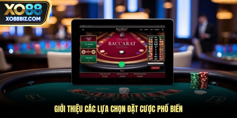 Giới thiệu các lựa chọn đặt cược phổ biến