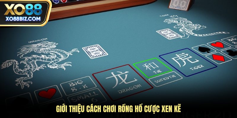 Giới thiệu cách chơi Rồng Hổ cược xen kẽ